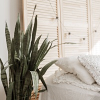 How to Improve Your Indoor Air Quality